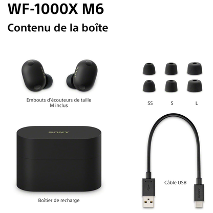 Ecouteurs Sony WF-1000XM6