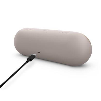 Beats Pill